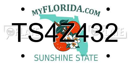TS4Z432 Florida License Plate