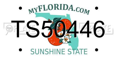 TS50446 Florida License Plate