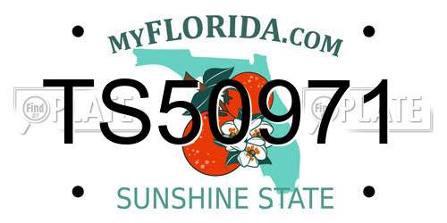 TS50971 Florida License Plate