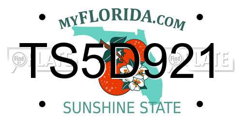 TS5D921 Florida License Plate