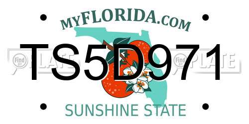 TS5D971 Florida License Plate