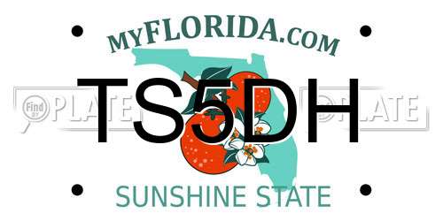 TS5DH Florida License Plate