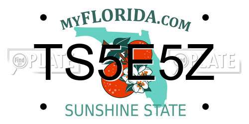 TS5E5Z Florida License Plate