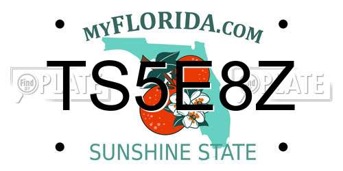 TS5E8Z Florida License Plate