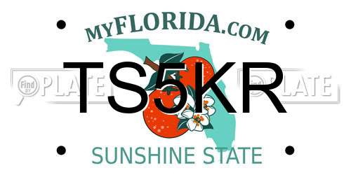TS5KR Florida License Plate