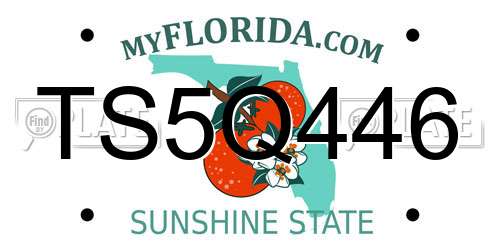 TS5Q446 Florida License Plate