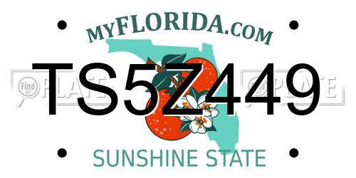 TS5Z449 Florida License Plate