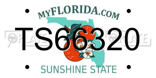 TS66320 Florida License Plate
