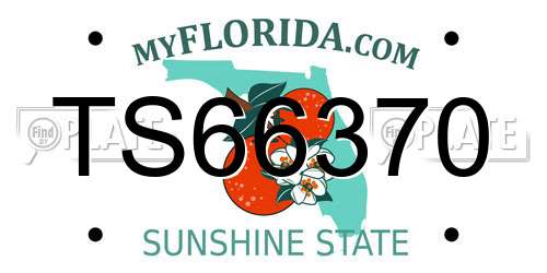 TS66370 Florida License Plate