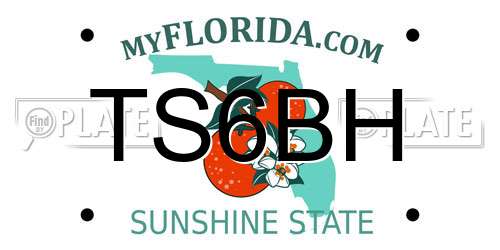 TS6BH Florida License Plate