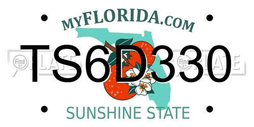 TS6D330 Florida License Plate