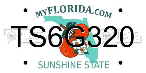 TS6G320 Florida License Plate