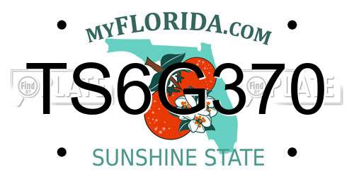 TS6G370 Florida License Plate