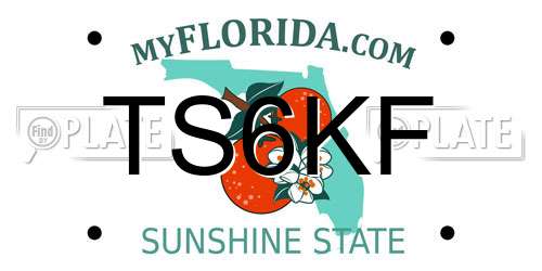 TS6KF Florida License Plate