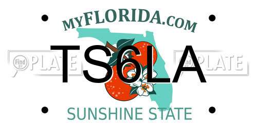 TS6LA Florida License Plate