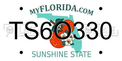 TS6O330 Florida License Plate