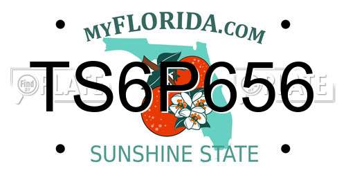 TS6P656 Florida License Plate