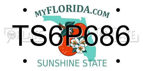 TS6P686 Florida License Plate