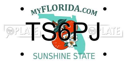 TS6PJ Florida License Plate