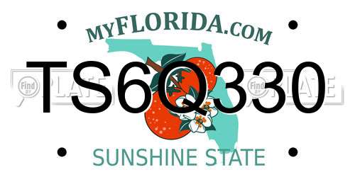TS6Q330 Florida License Plate