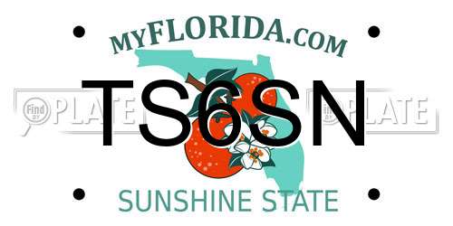 TS6SN Florida License Plate
