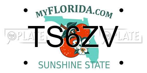 TS6ZV Florida License Plate