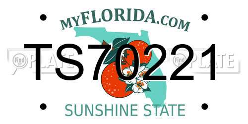 TS70221 Florida License Plate