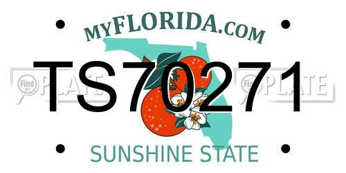 TS70271 Florida License Plate
