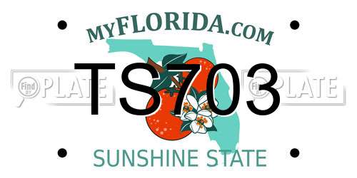 TS703 Florida License Plate