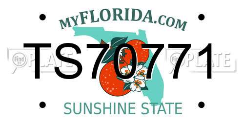 TS70771 Florida License Plate