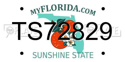 TS72829 Florida License Plate