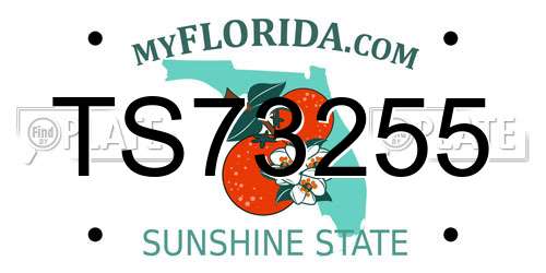 TS73255 Florida License Plate