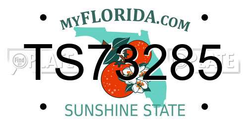 TS73285 Florida License Plate