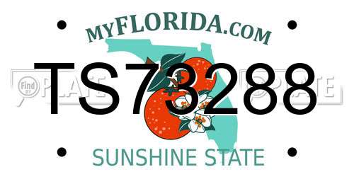 TS73288 Florida License Plate