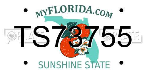 TS73755 Florida License Plate