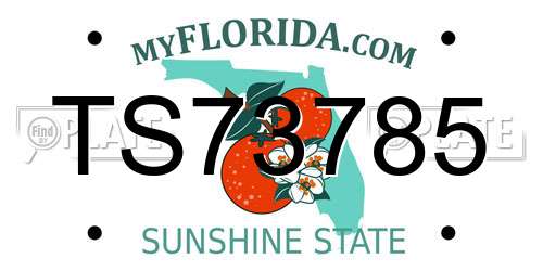 TS73785 Florida License Plate