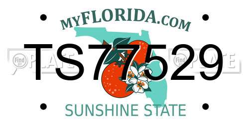 TS77529 Florida License Plate