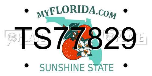 TS77829 Florida License Plate
