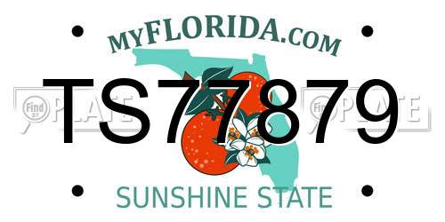 TS77879 Florida License Plate