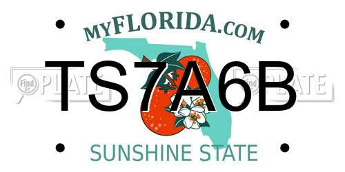 TS7A6B Florida License Plate