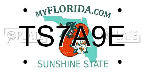 TS7A9E Florida License Plate