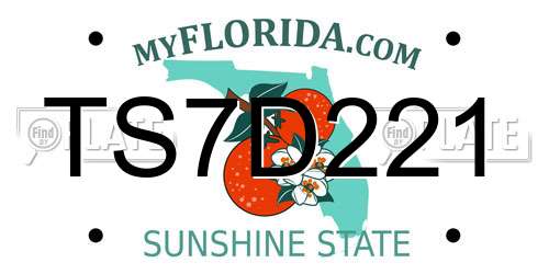 TS7D221 Florida License Plate
