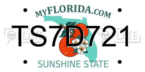 TS7D721 Florida License Plate