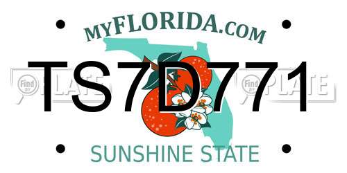 TS7D771 Florida License Plate