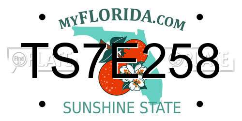 TS7E258 Florida License Plate