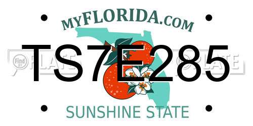 TS7E285 Florida License Plate
