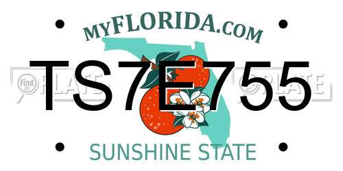TS7E755 Florida License Plate