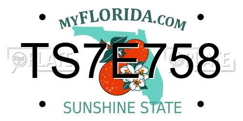 TS7E758 Florida License Plate
