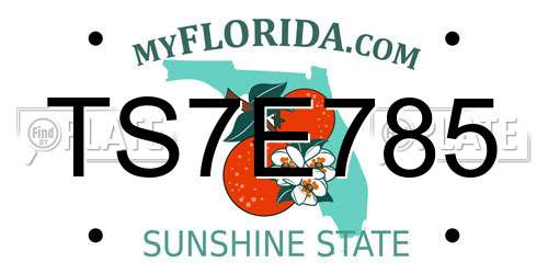 TS7E785 Florida License Plate