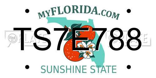 TS7E788 Florida License Plate